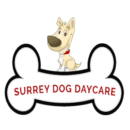 Surrey Dog Daycare